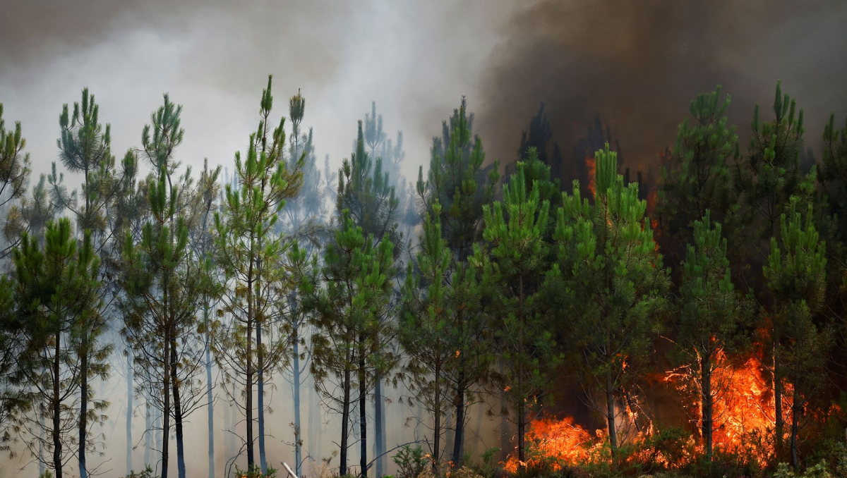 The Monster Fire and the struggles of climate change in Europe
