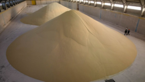 Europe's energy crisis is severely impacting fertilizer consumption 