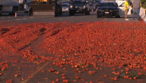 A truck spills 150,000 tomatoes, causing a California crash