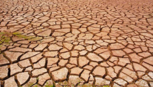 China declares national drought amid scorching heat waves
