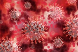 Langya virus - the "tip of the iceberg" - Asiana Times