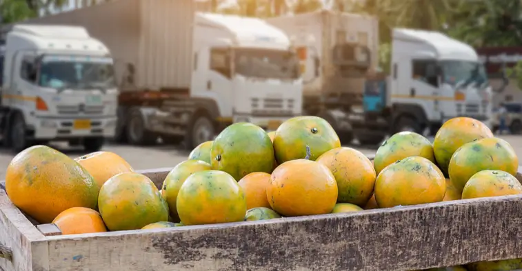 Perishable produce has a far less adaptable force than other foods