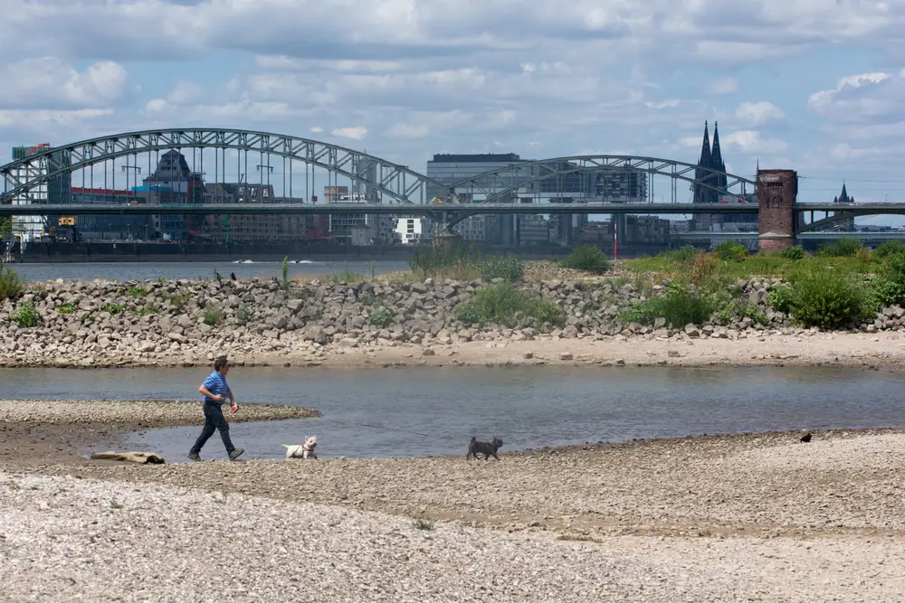 European rivers run dry, climate crisis creeping closer