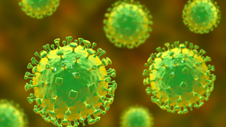 Shrews transmit a flu-like virus to humans in China