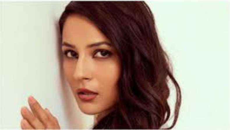 Shehnaaz kaur Gill begs to not be called Punjab Ki Katrina Kaif anymore: ‘Galti ho gayi, mujhe maaf kar de’