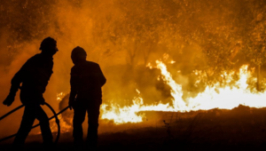 Portugal Wildfires: the State of Alert Begins Amid Third Heatwave