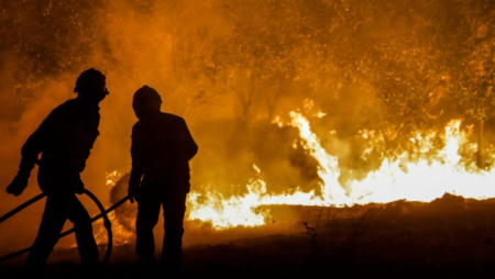 Portugal Wildfires: the State of Alert Begins Amid Third Heatwave