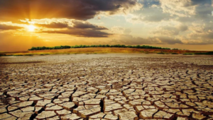 Climate takes a toll: Human World starts to pay the price for Capitalis