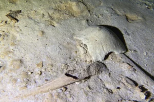 A Prehistoric Skeleton Found In A Mexican Cave