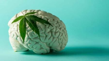 Cannabis effect on mind
