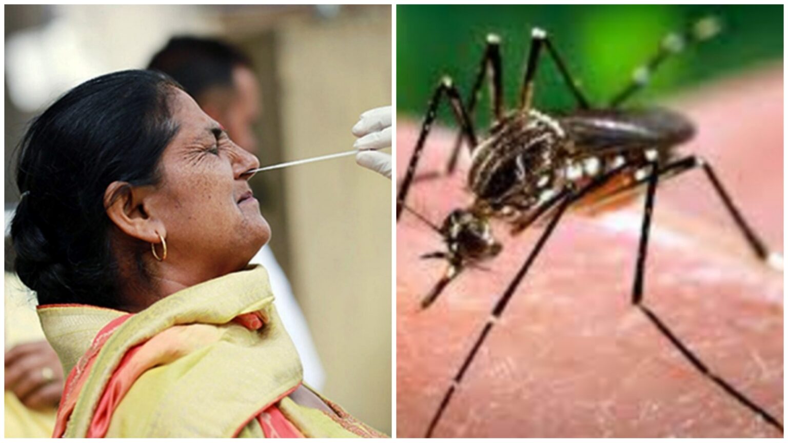 Bengal informs 263 new cases of COVID-19 & 566 fresh dengue cases - Asiana Times