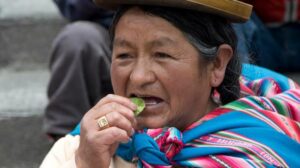 Bolivian farmers set fire to pro-government markets  - Asiana Times