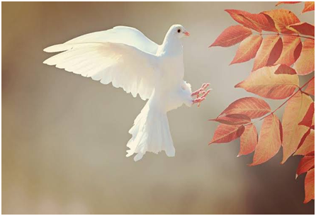The International Day of Peace is an empirical globally on September 21 - Asiana Times