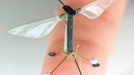 World's Smallest Robot: Using Nanotechnology