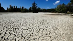 China, Europe, US drought: Is 2022 The driest year?