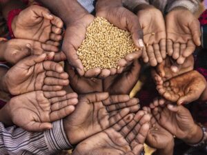 Govt extends free ration scheme PMGKAY by three months