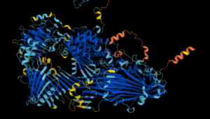 The advancement of biomedical research accelerated by the creation of a database containing structures of 200 million proteins.