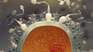 Goddess of Motherhood, MAIA a Unique Protein That Could Treat Infertility. - Asiana Times