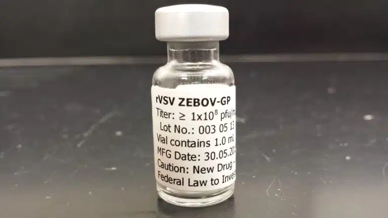 Ebola virus vaccination