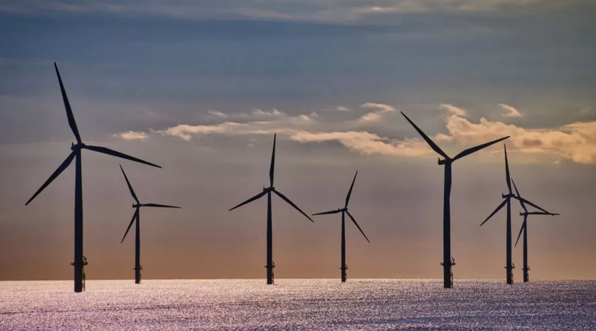 renewable energy ( Image Source - bbc.com )