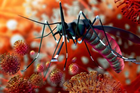 HOW ZIKA VIRUS USING HUMAN CELLS AS THEIR PRODUCTION UNIT; READ - Asiana Times