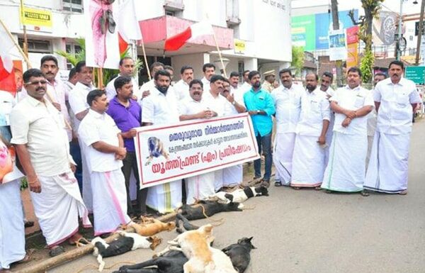 Kerala 14 Dogs mass murdered: Does fear of canines justify the murder? - Asiana Times