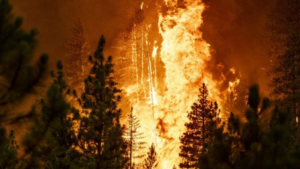 <strong>California's firefighters are at ease after rain, which helps to combat blazes. An end to the brutal heat weave.</strong>  - Asiana Times