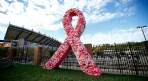 World Rose Day: Welfare of Cancer Patients' Day 2022 - Asiana Times