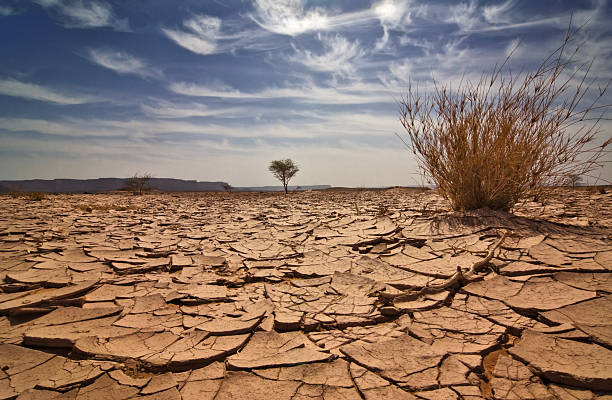 drought ( Image Source - istockphoto )