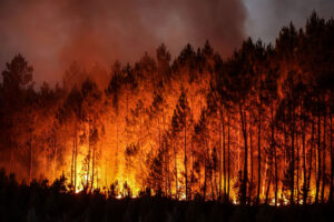 Climate change impacts are entering ‘uncharted territories of destruction’, Warns UN