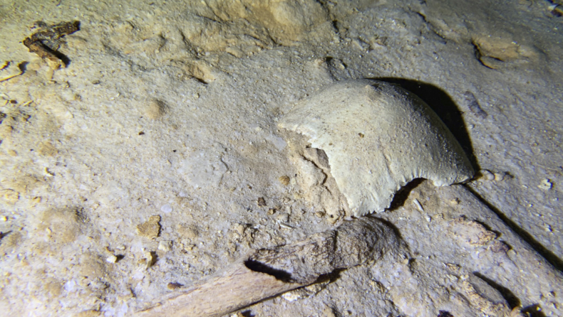 A Prehistoric Skeleton Found In The Cave