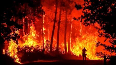 France experiences new wildfires since Monday.  - Asiana Times