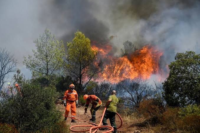 France experiences new wildfires since Monday.  - Asiana Times