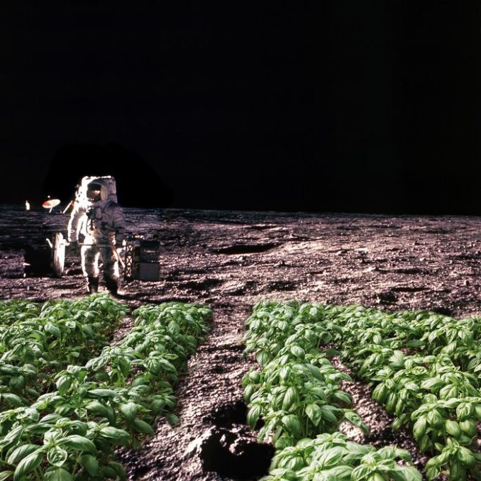 Moon: Australian scientist seeking to grow plant on moon by 2025 - Asiana Times