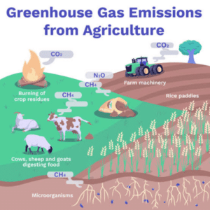 Agriculture techniques and Green food favorable to address Global warming