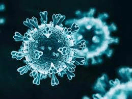 Coronavirus - Asiana Times