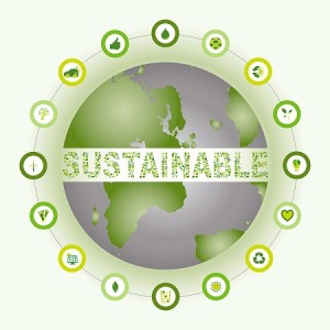 Towards Creating a More Sustainable Living - Asiana Times