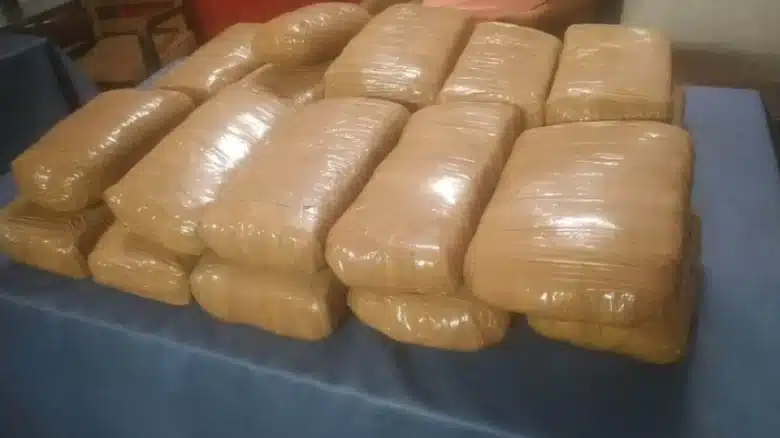 Assam Police confiscated 2,400 kg of cannabis near the Assam -Tripura Border - Asiana Times
