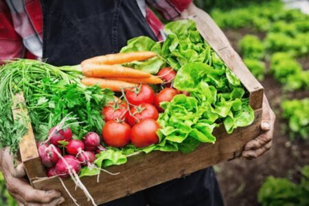 Agriculture techniques and Green food favorable to address Global warming