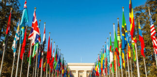 A dilemma for the United Nations and other international organisations