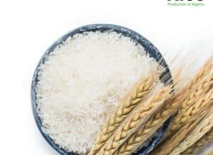India - World’s biggest rice exporter all set not to share rice from its food basket for exports - Asiana Times