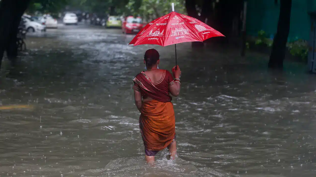 Bengal Rains