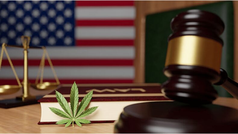 Bidens Pardons 6,500 from Possession of Marijuana