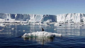 Climate Change: Melting Glaciers The Next Big Pandemic Fear - Asiana Times