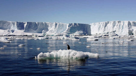 Climate Change: Melting Glaciers The Next Big Pandemic Fear - Asiana Times