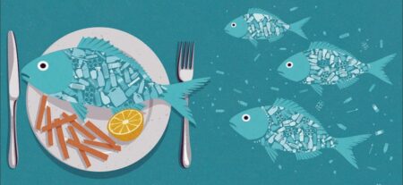 A government report revealed that MicroPlastics were Found in 75% of fish in New Zealand - Asiana Times