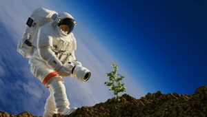 Australian scientist seeking to grow plant on moon by 2025