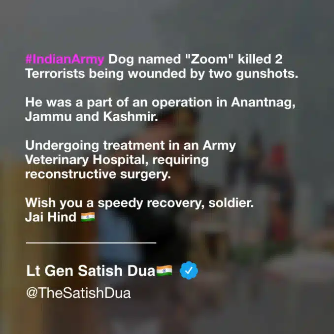 Zoom, The Courageous Dog, martyrs for the nation - Asiana Times