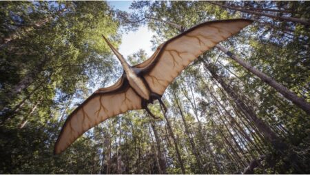 Before evolution: humble origins of pterosaurs