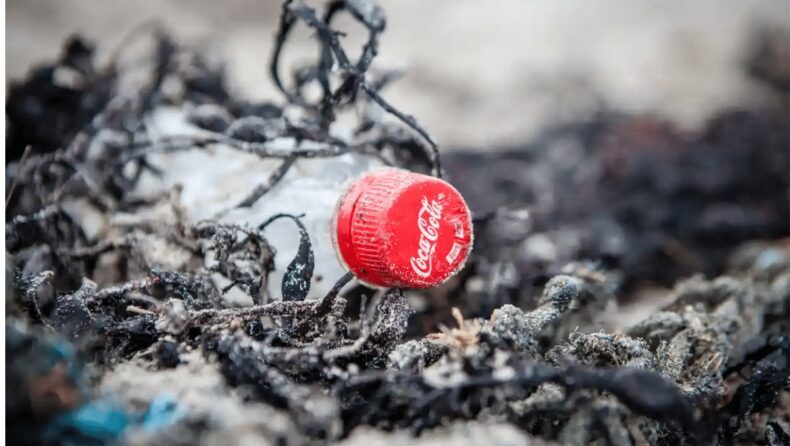 Coca-Cola to Sponsor COP27, Activists Shocked